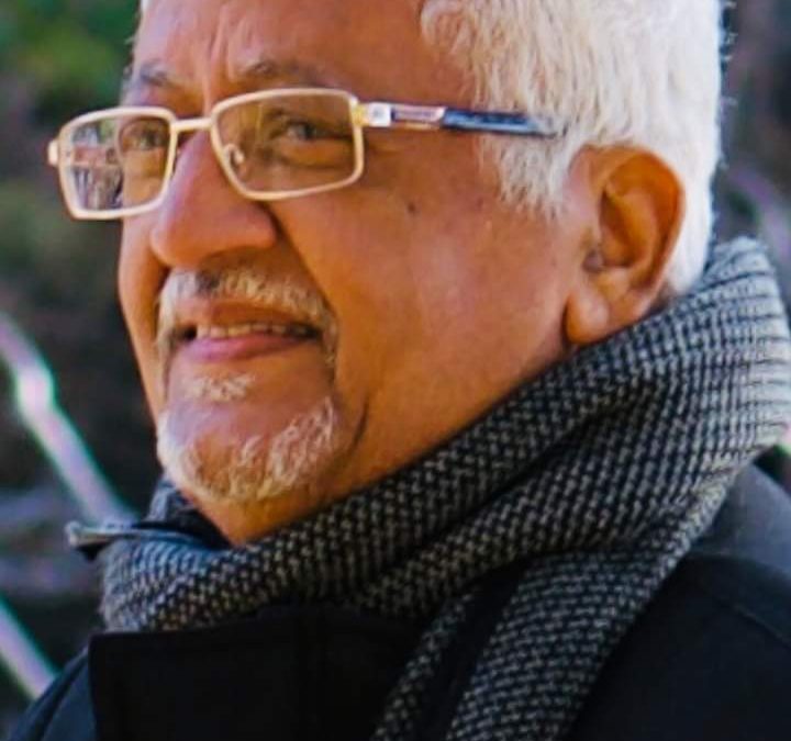 ثنائية الحِلم والحماقة