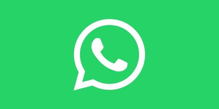 Whatsapp تسمح باستخدام نفس حساب واتساب على هواتف متعددة