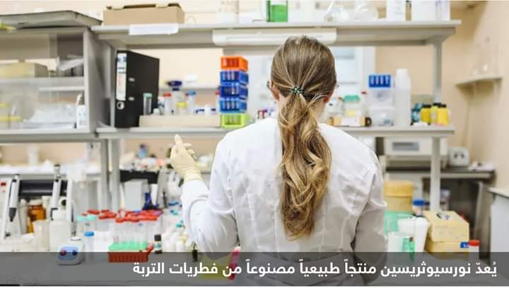 بعد 80 عاما من إهماله.. علماء يلتفتون لـ”مضاد حيوي” ثوري