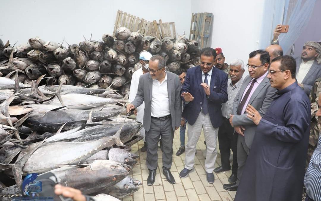 وزير الزراعة والري والثروة السمكية يطلع على سير النشاط السمكي والصناعي بمصنع الوطنية لتعليب وتغليف الأسماك