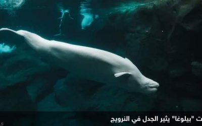 “جاسوس” روسي من نوع خاص يثير قلق سلطات دولة أوروبية