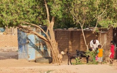 احتدام القتال في السودان ينذر ب«مجاعة».. والرياض وواشنطن تدعوان لهدنة جديدة