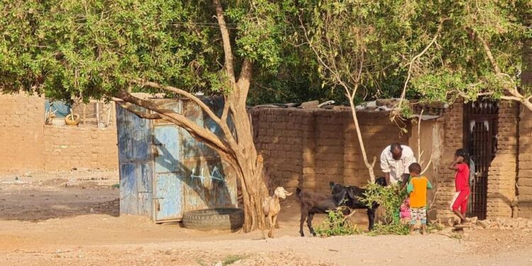 احتدام القتال في السودان ينذر ب«مجاعة».. والرياض وواشنطن تدعوان لهدنة جديدة