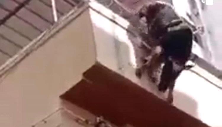 ثور يقفز من الطابق الرابع هروبامن التضحية به- صور –