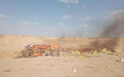 جمرك شحن يتلف 114 طنا من الدجاج المجمد والبطاطس التالفة