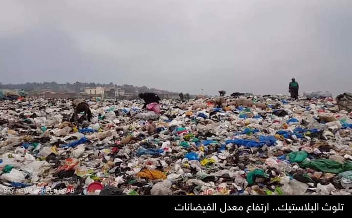 5 يونيو.. منظمات دولية تحتفي باليوم العالمي للبيئة