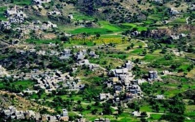 خطيب جامع رخمة بيافع  رصد يخصص خطبة الجمعة الماضية للحديث عن الوصية الشرعية