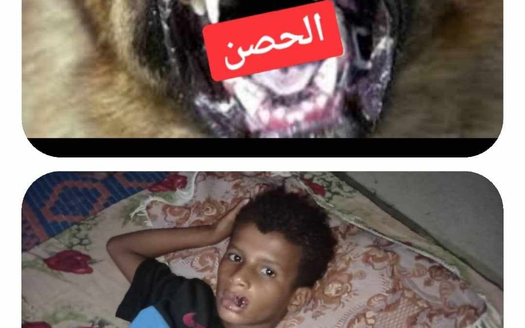 الحصن بين أنياب الكلاب المسعورة