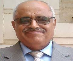 حكومة اللجان