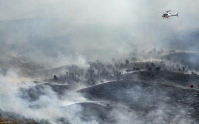 الجزائر.. همود الحرائق العنيفة وبدء مراسم دفن بعض الضحايا
