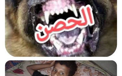 الحصن بين أنياب الكلاب المسعورة