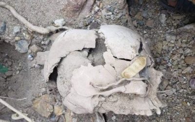 العثور على جثث لـ16 شخصًا اختطفهم مليشيات الارهاب الحوثي بمحافظة عمران