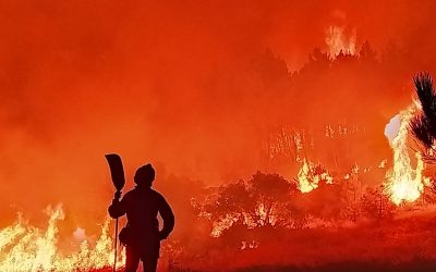 إسبانيا.. إجلاء المئات بجزيرة لا بالما بسبب حريق غابات