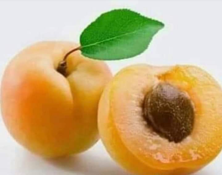 أطباء القلب ينصحون بالإقبال على تناول المشمش