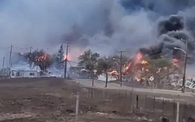 حرائق غابات غير مسبوقة بجزيرة ماوي في هاواي الأمريكية وتجبر السكان على القفز في الماء