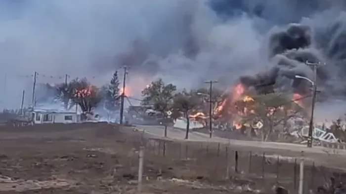 حرائق غابات غير مسبوقة بجزيرة ماوي في هاواي الأمريكية وتجبر السكان على القفز في الماء