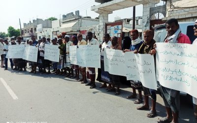 أبين: وقفة احتجاجية لمزارعي القريات تطالب بوقف التعديات والاستحداثات بمنطقة القريات بزنجبار