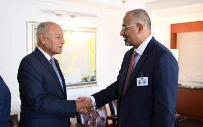 الرئيس الزُبيدي يلتقي الأمين العام لجامعة الدول العربية