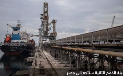 سفينة محملة بالقمح تغادر مرفأ أوكرانيا متوجهة إلى مصر
