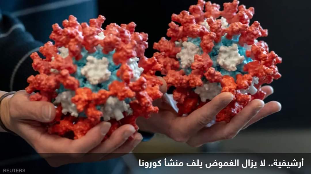 بعد 5 أشهر من الإصابة بكورونا.. أعضاء في الجسم معرضة للخطر