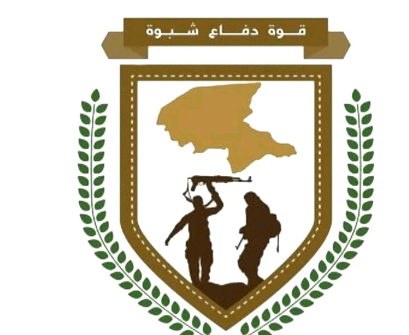 قوات دفاع شبوة تلقي القبض على متهم بجريمة قتل