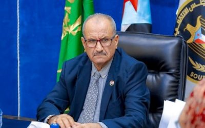 الجعدي: تدليل الحوثي خطر على عملية السلام
