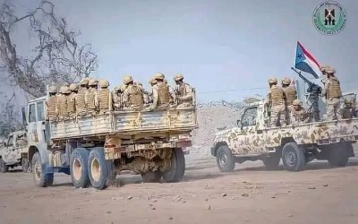 ماذا يجب على كوادر الجنوب خلال هذه المرحلة؟