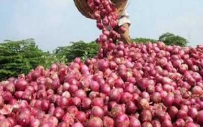 أزمة بصل في مصر .روتحرك عاجل  بعد ظهور منتجات في الإمارات والسعودية واختفائها في البلاد