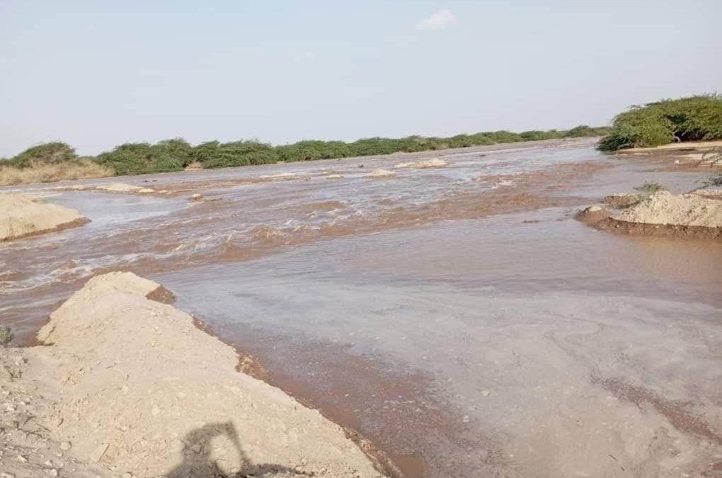 سيول جارفة تتدفق في وادي أحور