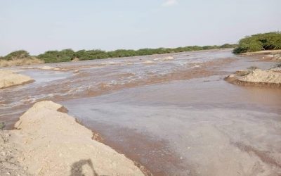 سيول جارفة تتدفق في وادي أحور