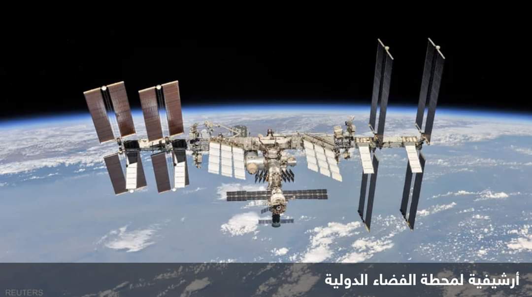 لأول مرة.. علماء يطورون أجنة فئران في الفضاء