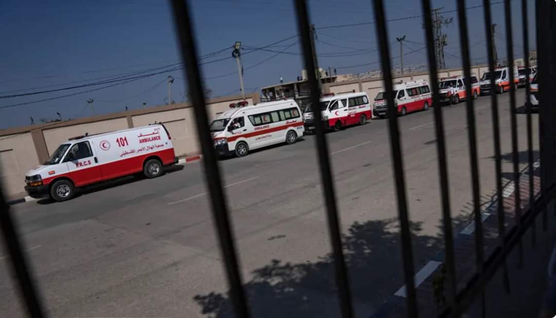 وزير الصحة المصري: أجرينا 50 جراحة متقدمة لجرحى غزة