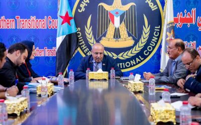 رئيس الجمعية الوطنية يبحث أوجه التعاون والتنسيق المشترك مع منظمة نداء جنيف السويسرية
