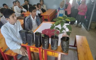 طلاب مدرسة بلال بيهر ينفذون نزولات علمية إلى مزارع البُن بالمديرية