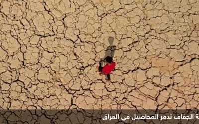 الجفاف في العراق.. قيود قاهرة على مياه الزراعة