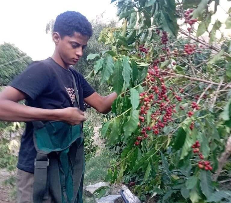 داري على شمعتك تقيد
