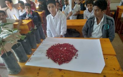 يهر يافع تدخل زراعة “الُبن” أنشطة صفية في مدارسها