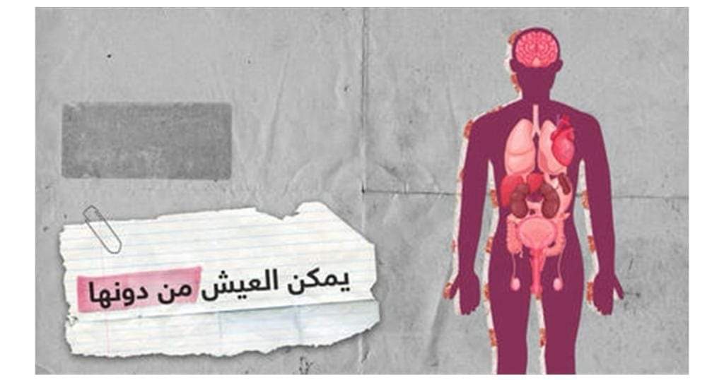 تعرف على الأعضاء التي يمكن للإنسان أن يعيش بدونها