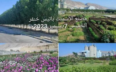 لوحات جمالية وبيئية   بمساحات زراعية  ومسطحات  نباتية متزايدة في ساحات مصنع أسمنت الوحدة أبين