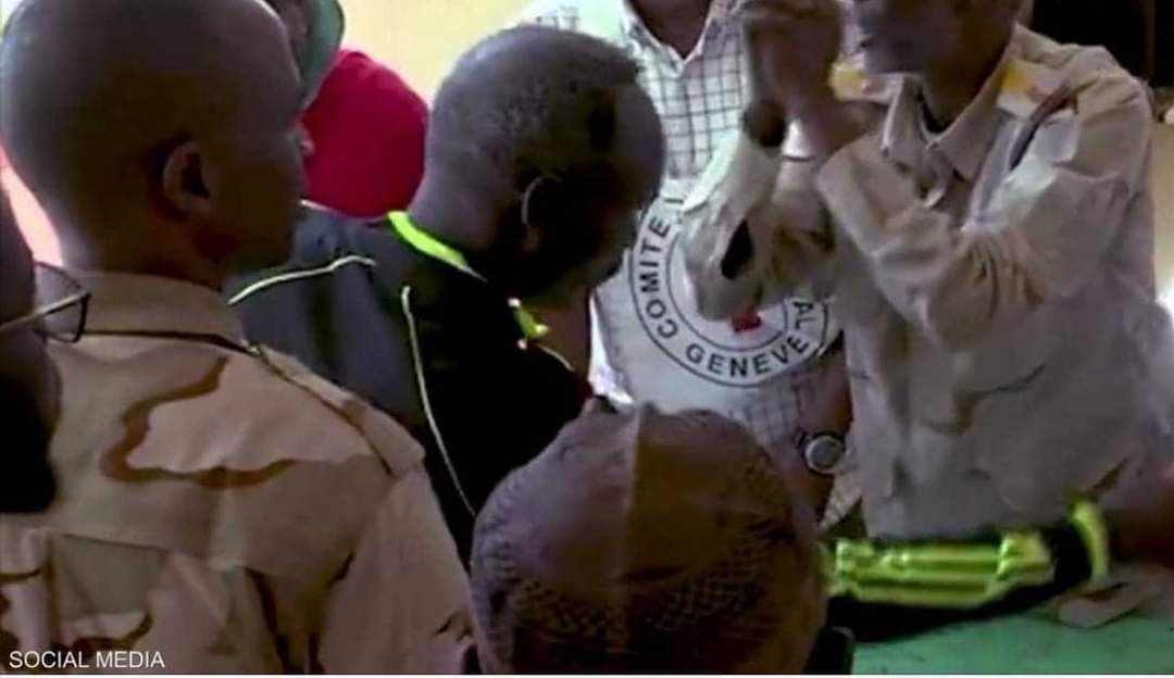 السودان.. “الدعم السريع” تطلق سراح 47 عنصرا من الجيش