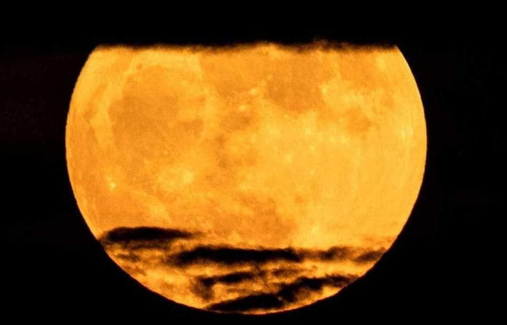 سليم” الياباني يدخل مدار القمر