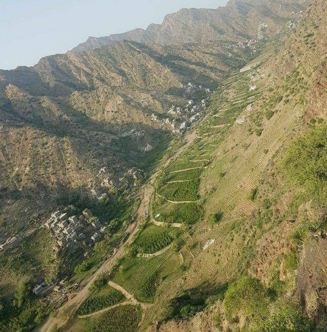 صورة وتعليق