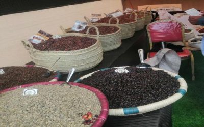 اليوم.. اختتام فعاليات المعرض الوطني الأول للبن بالعاصمة عدن