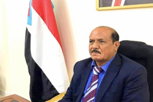 العمل السياسي والدبلوماسي الخارجي