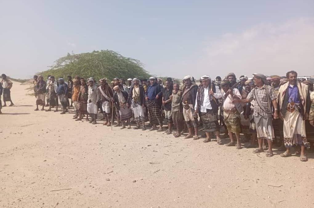 أحور .. مسند قبلي من قبيلة آل مسعود  لإخوانهم ال إلحاق قبيلة الشرمان