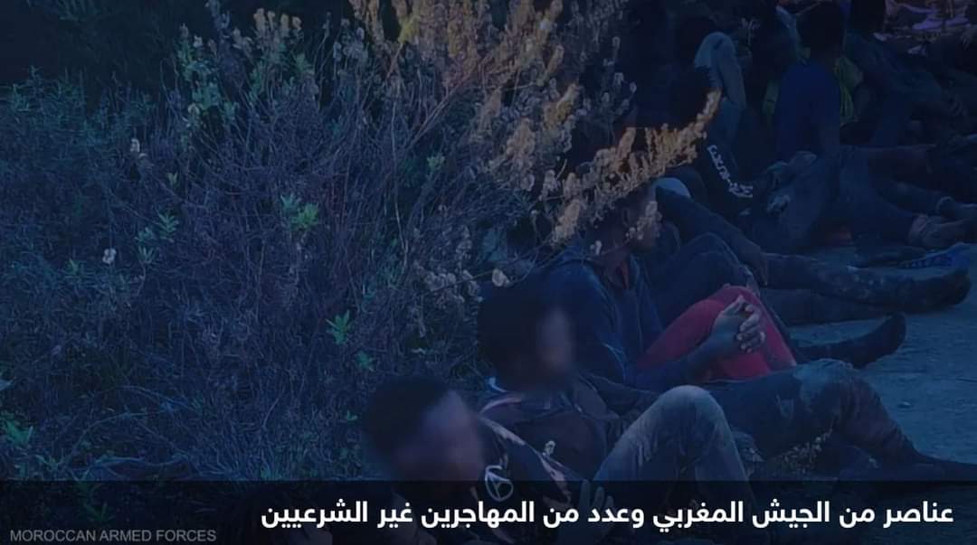 القوات المغربية تعترض أكثر من ألف مهاجر غير شرعي شمال البلاد