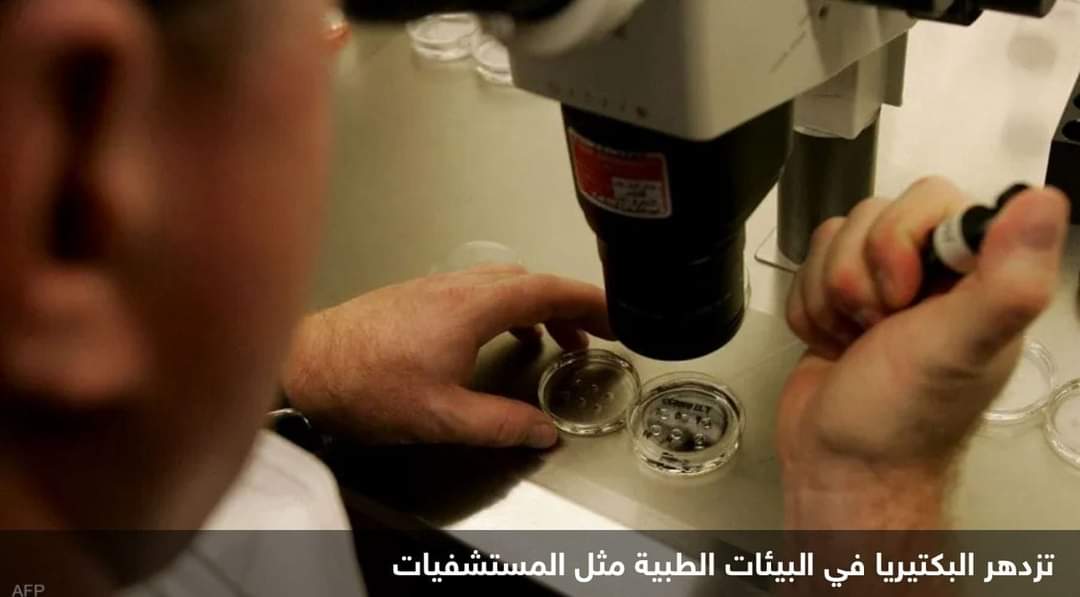 العلماء يطورون مضادا حيويا جديدا.. يستهدف بكتيريا قاتلة