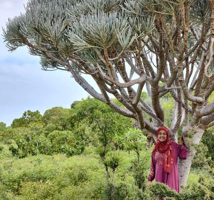 د . نعمة صالح تكتب من جزيرة الأحلام والسعادة  سقطرى
