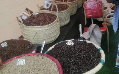 اليوم.. اختتام فعاليات المعرض الوطني الأول للبن بالعاصمة عدن