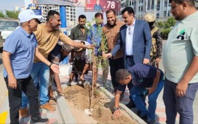 إطلاق مشروع تشجير الطريق البحري في المنصورة